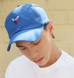 ボーンチャンプス(BORN CHAMPS)  V SYMBOL CAP BLUE