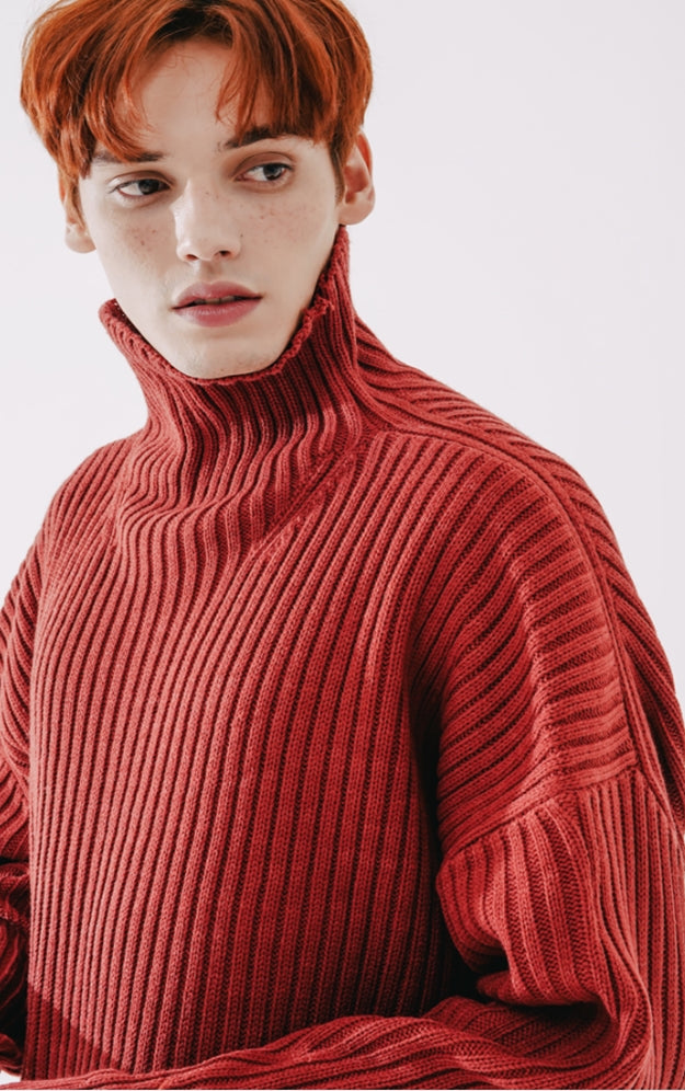 ダブルユーブイプロジェクト(WV PROJECT)  Peanut Butter Turtleneck Knit Red Brown CJKN7434