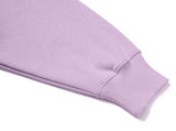 デイライフ(Daylife)  Daylife V-neck sweatshirt (PURPLE)