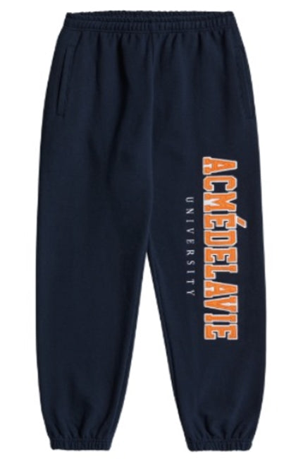 アクメドラビ(acme' de la vie)  ADLV TWO COLOR EMBROIDERY PATCH PANTS NAVY