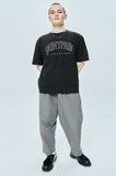 セイントペイン(SAINTPAIN) SP WIDE NYLON PANTS-GRAY