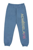アクメドラビ(acme' de la vie) FAKE EMBROIDERY PRINT PANTS INDIGO BLUE