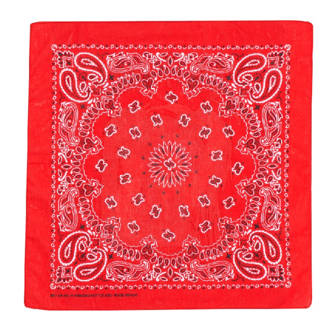 FM91.02 (エフエム91.02)　XHM PAISLEY BANDANA RED