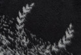 ロマンティッククラウン(ROMANTIC CROWN)  MOHAIR GRADATION KNIT_BLACK