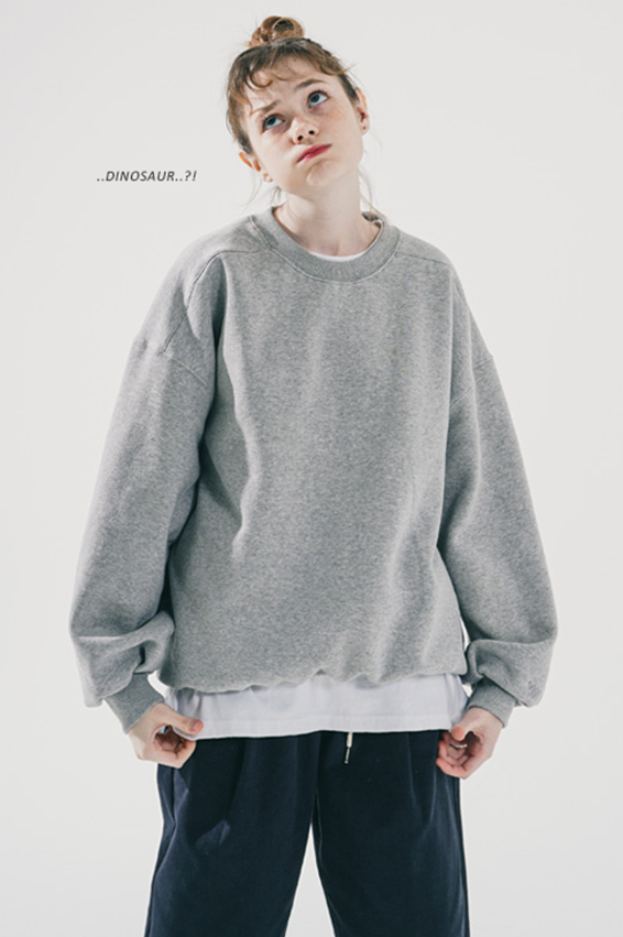 ダブルユーブイプロジェクト(WV PROJECT) Daily Sweatshirt Gray JIMT7533