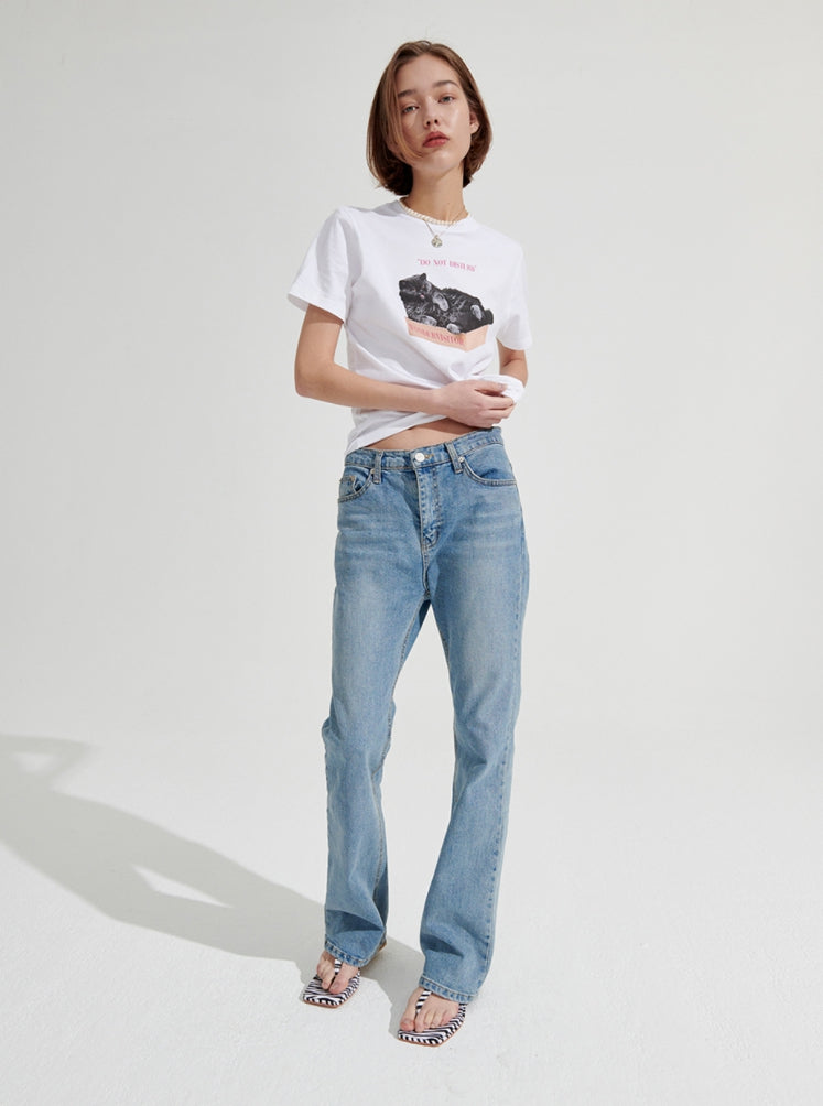 ワンダービジター(WONDER VISITOR) Box cat T-shirt [White]