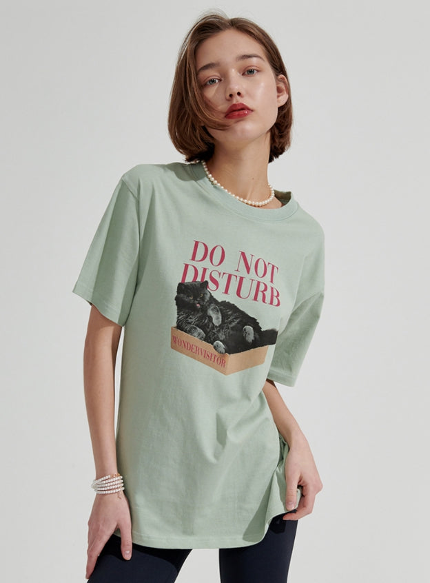ワンダービジター(WONDER VISITOR) Box Cat overfit T-shirt [Mint]