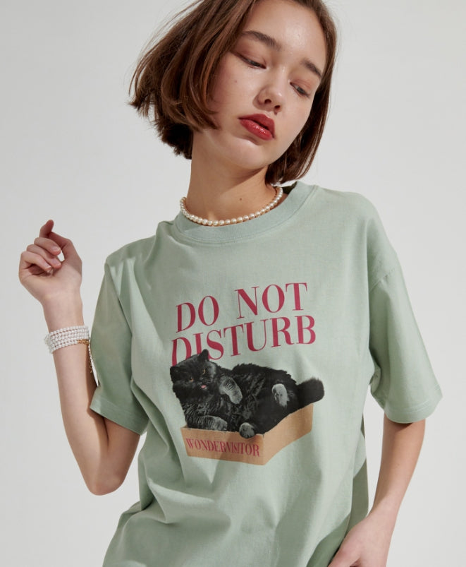 ワンダービジター(WONDER VISITOR) Box Cat overfit T-shirt [Mint]