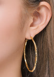 PASION (パシオン) Twisted Middle Ring Earrings (Gold)
