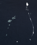 mahagrid (マハグリッド) PAINTER TEE [NAVY]