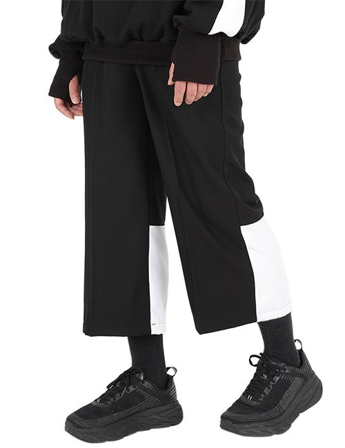 ランベルシオ(LANG VERSIO) 316 Color Crop Wide Slacks